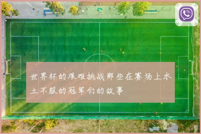 世界杯的艰难挑战那些在赛场上水土不服的冠军们的故事
